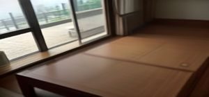 苏雅婷，贝跳马飞内容审核编辑，专注合规渠道核查与内容真实性把关